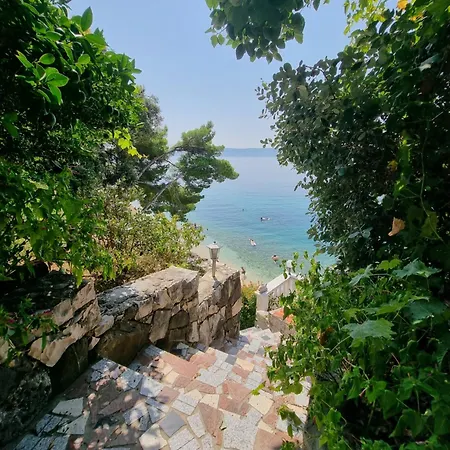 Anda זיווגוסצה